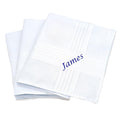 Set of 3 Embroidered Gents Hankies up to 11 letters Personalised Handkerchiefs